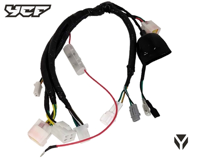 FAISCEAU BIGY MOTEUR AVEC DEMARREUR (connecteur étanche)